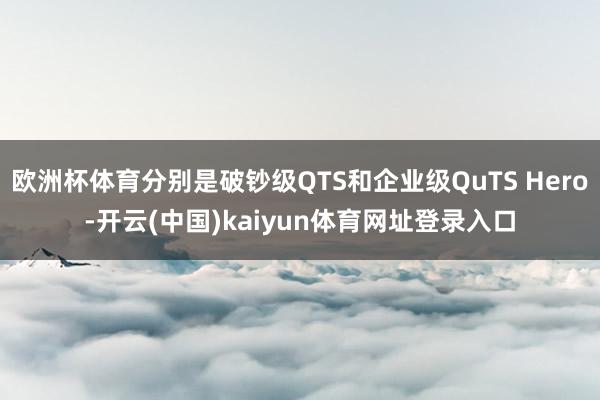 欧洲杯体育分别是破钞级QTS和企业级QuTS Hero-开云(中国)kaiyun体育网址登录入口